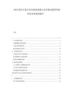 2025软件开发行业市场发展潜力竞争格局投资价值评估未来趋势报告