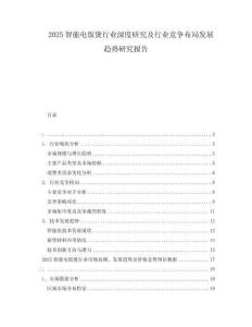 2025智能电饭煲行业深度研究及行业竞争布局发展趋势研究报告