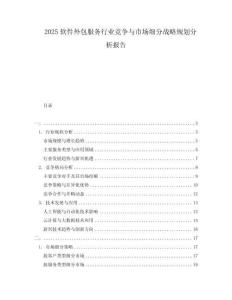 2025软件外包服务行业竞争与市场细分战略规划分析报告