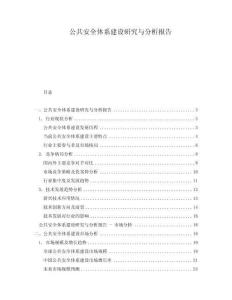公共安全體系建設(shè)研究與分析報(bào)告
