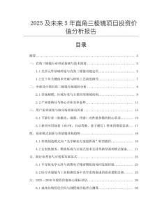 2025及未來5年直角三棱鏡項目投資價值分析報告