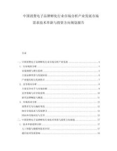 中国消费电子品牌孵化行业市场分析产业发展市场需求技术革新与投资方向规划报告