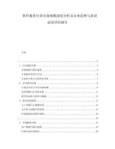 软件服务行业市场规模深度分析及未来趋势与商业前景评估报告