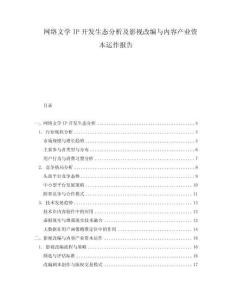 網(wǎng)絡(luò)文學(xué)IP開發(fā)生態(tài)分析及影視改編與內(nèi)容產(chǎn)業(yè)資本運(yùn)作報(bào)告