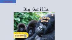 外研社多維閱讀第3級(jí)-Big Gorilla 大猩猩頭領(lǐng)