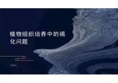 植物組織培養(yǎng)中的褐化問題