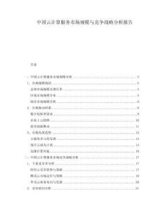中國云計算服務(wù)市場規(guī)模與競爭戰(zhàn)略分析報告