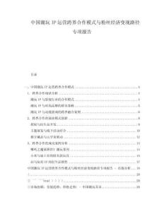 中國潮玩IP運(yùn)營跨界合作模式與粉絲經(jīng)濟(jì)變現(xiàn)路徑專項(xiàng)報(bào)告