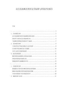 動力電池梯次利用安全標準與價值評估報告