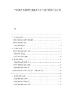 中國漂洗添加劑行業(yè)技術引進與自主創(chuàng)新對比研究