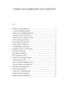 中国厨房小家电出海路径选择与知识产权保护研究