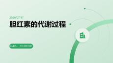 胆红素的代谢过程