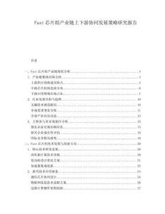 Fast芯片組產(chǎn)業(yè)鏈上下游協(xié)同發(fā)展策略研究報(bào)告