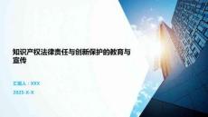 知識(shí)產(chǎn)權(quán)法律責(zé)任與創(chuàng)新保護(hù)的教育與宣傳
