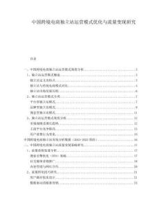 中国跨境电商独立站运营模式优化与流量变现研究