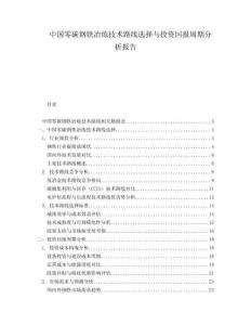 中國零碳鋼鐵冶煉技術路線選擇與投資回報周期分析報告