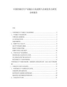 中国存储芯片产业链自主化进程与全球竞争力研究分析报告