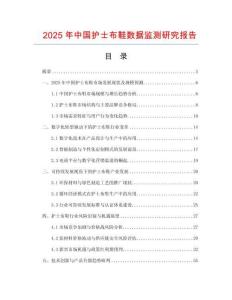 2025年中國護士布鞋數(shù)據(jù)監(jiān)測研究報告