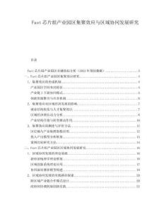 Fast芯片組產(chǎn)業(yè)園區(qū)集聚效應(yīng)與區(qū)域協(xié)同發(fā)展研究