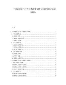 中國碳捕集與封存技術政策支持與示范項目評估研究報告