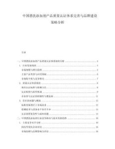中國漂洗添加劑產品質量認證體系完善與品牌建設策略分析