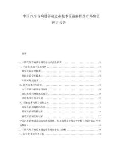 中国汽车音响设备制造业技术前沿解析及市场价值评定报告