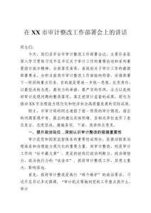 在市審計整改工作部署會上的講話