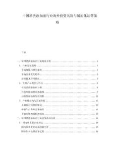 中國漂洗添加劑行業(yè)海外投資風(fēng)險與屬地化運營策略