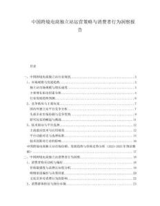 中國跨境電商獨立站運營策略與消費者行為洞察報告