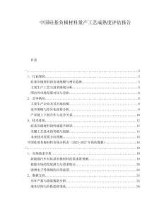 中國硅基負(fù)極材料量產(chǎn)工藝成熟度評(píng)估報(bào)告