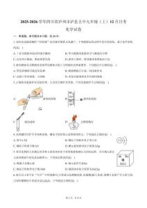 2025-2026學年四川省瀘州市瀘縣五中九年級（上）月考化學試卷（12月份）（含答案）