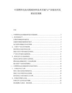 中國燃料電池雙極板材料技術(shù)突破與產(chǎn)業(yè)鏈協(xié)同發(fā)展前景預測