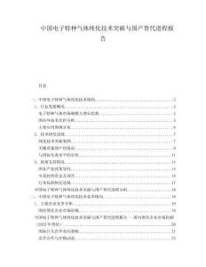 中國電子特種氣體純化技術(shù)突破與國產(chǎn)替代進程報告
