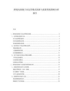跨境電商獨立站運營模式創(chuàng)新與流量變現(xiàn)策略分析報告