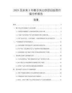 2025及未來5年椰子夾心餅項目投資價值分析報告