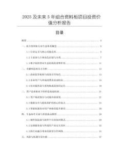 2025及未來5年組合資料柜項目投資價值分析報告