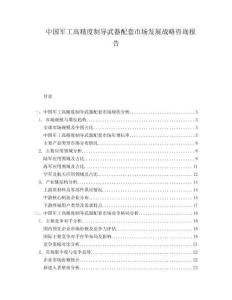 中國軍工高精度制導(dǎo)武器配套市場發(fā)展戰(zhàn)略咨詢報告