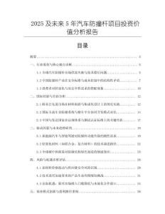 2025及未來5年汽車防撞桿項目投資價值分析報告