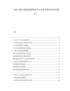 烏拉圭海關(guān)稅收政策優(yōu)化中小企業(yè)發(fā)展評估研究報告