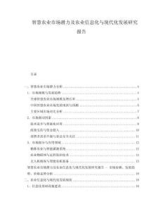 智慧農業市場潛力及農業信息化與現代化發展研究報告