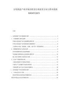 文化創意產業市場分析及行業前景方向與資本投放策略研究報告