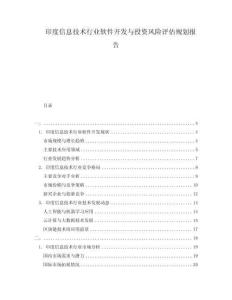 印度信息技术行业软件开发与投资风险评估规划报告