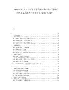 2025-2030大田西部之电子商务产业行业市场深度调研及发展趋势与投资前景预测研究报告