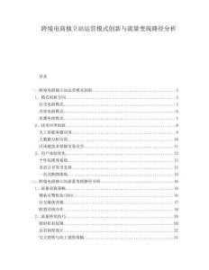 跨境电商独立站运营模式创新与流量变现路径分析