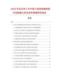 2025年及未來5年中國小型音頻插線板市場數據分析及競爭策略研究報告