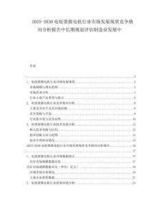 2025-2030电饭煲微电机行业市场发展现状竞争格局分析报告中长期规划评估制造业发展中