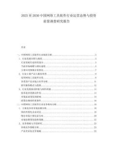 2025至2030中国网络工具软件行业运营态势与投资前景调查研究报告