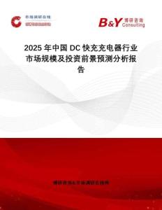 2025年中國DC快充充電器行業市場規模及投資前景預測分析報告