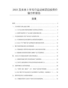 2025及未來5年毛巾運動襪項目投資價值分析報告