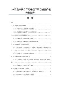 2025及未來(lái)5年定子磨床項(xiàng)目投資價(jià)值分析報(bào)告